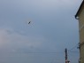 Dětský den 4.6.2011 Dětský den 4.6.2011